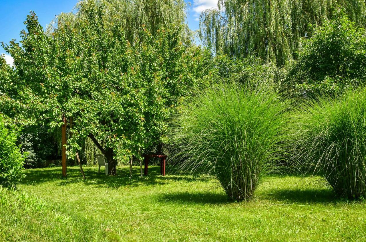 Klara Apartman Szentes Luaran gambar